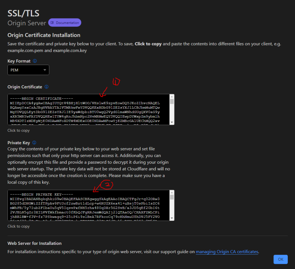 How to combine Nginx Proxy Manager with Cloudflare to access your